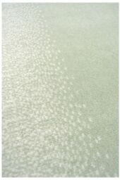 THE RUGS Maestro Collection Ombre Design Rug in Green - 3797 GG11 - Size: 160 cm x 230 cm - thumbnail 3