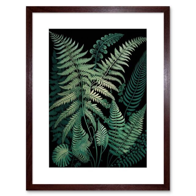 "Artery8 Wall Art Print Ernst Haeckel Style Fern Fronds Botanical Detailed Artwork Framed 9X7 Inch in Brown - Size: W7"" x H9""" - image 1