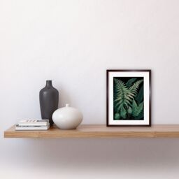 "Artery8 Wall Art Print Ernst Haeckel Style Fern Fronds Botanical Detailed Artwork Framed 9X7 Inch in Brown - Size: W7"" x H9""" - thumbnail 2