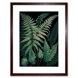 "Artery8 Wall Art Print Ernst Haeckel Style Fern Fronds Botanical Detailed Artwork Framed 9X7 Inch in Brown - Size: W7"" x H9""" - thumbnail 1