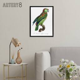 "Artery8 The Blue Fronted Amazon Parrot Levaillant Framed Canvas Wall Art Print in White - Size: W12"" x H16""" - thumbnail 3
