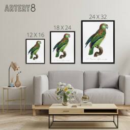 "Artery8 The Blue Fronted Amazon Parrot Levaillant Framed Canvas Wall Art Print in White - Size: W12"" x H16""" - thumbnail 4
