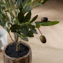 OHS Artificial Olive Tree with Lifelike Leaves Realistic Plant in Basket in Natural - Size: 50 cm - thumbnail 2
