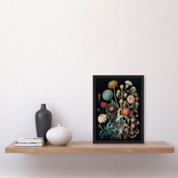Artery8 Vintage Botanical Ernst Haeckel Style Plant Study Modern Watercolour Painting Illustration Artwork Framed Wall Art Print A4 in Black - thumbnail 2