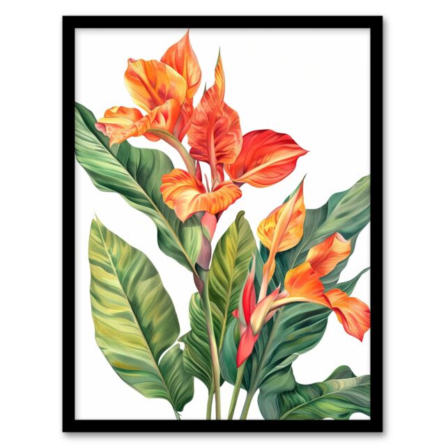 "Artery8 Canna Lily Flower Bright Botanical Painting Framed Art Print in Orange - Size: W12"" x H16""" - image 1