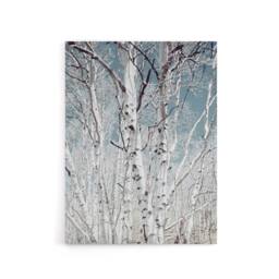 "Artery8 Birch tree forest Carol M Highsmith Canvas Wall Art Print - Size: W12"" x H16""" - thumbnail 1
