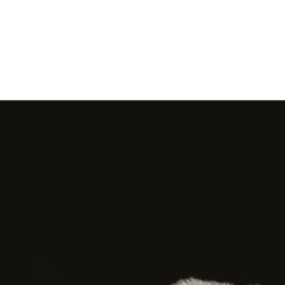 Mario Moreno Majestic Paper Poster in Black - thumbnail 2