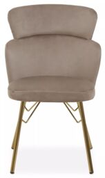 Orsina Veneto Velvet Chair in Brown