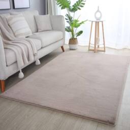Desire Rugs Plushtale Washable Low Pile Living Room Area Rug - Fluffy Super Soft in Beige - Size: 60 cm x 100 cm