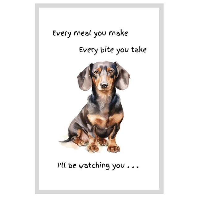 Animal Crackers Dog Tea Towel With 'Watching You' Funny Wording - Dachshund in White - image 1