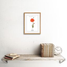 "Artery8 Wall Art Print Flower Poppy Coquelicot Papaver Rhoeas Art Framed 9x7 inch in Beige - Size: W7"" x H9""" - thumbnail 2
