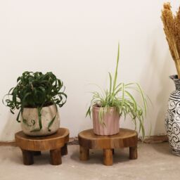 KDMD Low Teak Pad Display - 24x10cm - (Set of 2) in Brown - Size: 24x10 cm - thumbnail 4