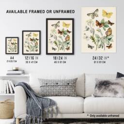 Artery8 Butterflies Moths Caterpillars Kirby Vintage Framed Wall Art Print in White - Size: A4 - thumbnail 3