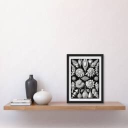 Artery8 Ernst Haeckel Framed Wall Art Print Thalamophora Forams Shells in Black - Size: A4 - thumbnail 2