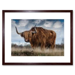 "Artery8 Wall Art Print Scottish Highland Cow Coo Framed in Brown - Size: W7"" x H9""" - thumbnail 1