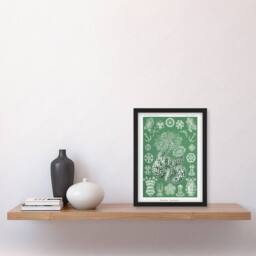 "Artery8 Ocean Sea Cucumber Beach Haeckel Botanical Framed Wall Art Print in Green - Size: W12"" x H16""" - thumbnail 4