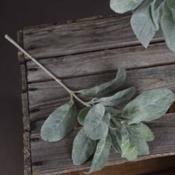 Lemon Pavilion Furniture and Decor Lambs Ear Spray Artificial Plant - Plastic - L16 x W16 x H35cm - Green - thumbnail 2