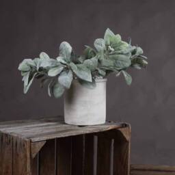 Lemon Pavilion Furniture and Decor Lambs Ear Spray Artificial Plant - Plastic - L16 x W16 x H35cm - Green - thumbnail 1