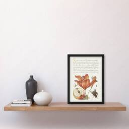 Artery8 Insects Orange Lily & Apple Calligraphy Framed Wall Art Print in White - Size: A4 - thumbnail 4