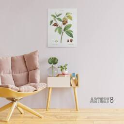 "Artery8 Papaw Tree Botanical Redoute Vintage Canvas Wall Art in White - Size: W18"" x H24""" - thumbnail 3