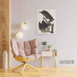 "Artery8 Turkey Buzzard Vulture Audubon Nature Canvas Wall Art in White - Size: W18"" x H24""" - thumbnail 3
