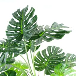Leaf Artificial Monstera Plant 150cm Luxury Cheese Plant 5ft Tall Botanik in Green - thumbnail 3