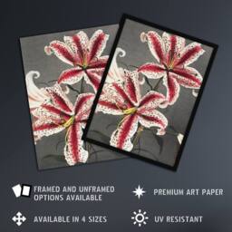 "Artery8 Pink Spotted Lily Flower Blooms Vintage Wall Art Print Kazumasa - Size: W24"" x H32""" - thumbnail 2