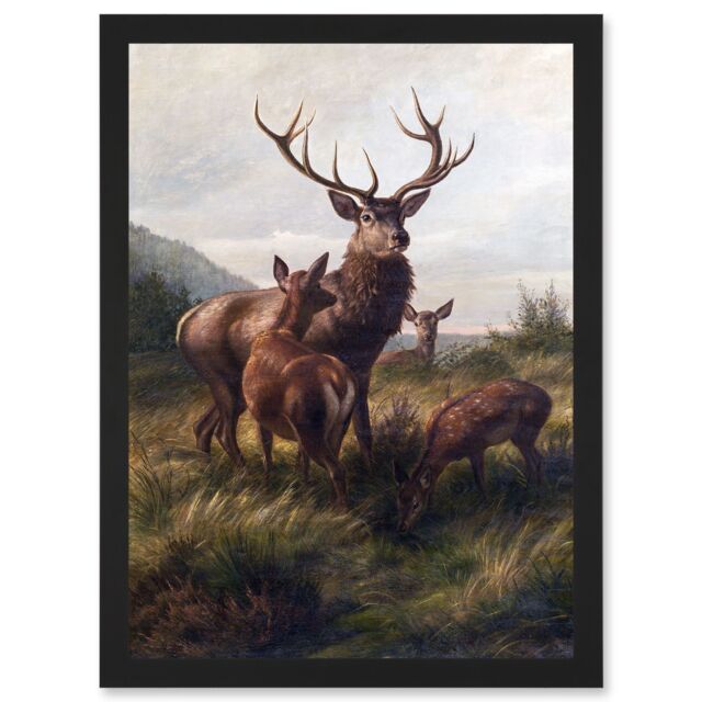 Artery8 Deiker Stag Deer Antlers Doe Animal Nature Painting Artwork Framed Wall Art Print A4 in Black - image 1