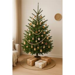 Clifton Premier Norway Spruce Xmas Tree - Fresh Cut - 1.75m - 2.0m (5.75 - 6.5ft) in Green - thumbnail 5