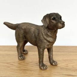 Animal Crackers Labrador Dog figurine, Leonardo Reflections Bronzed, Gift Boxed in Bronze