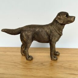 Animal Crackers Labrador Dog figurine, Leonardo Reflections Bronzed, Gift Boxed in Bronze - thumbnail 5