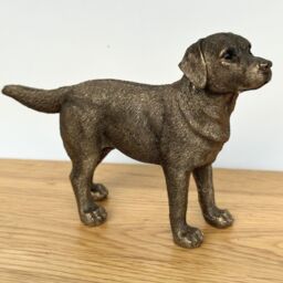 Animal Crackers Labrador Dog figurine, Leonardo Reflections Bronzed, Gift Boxed in Bronze - thumbnail 3