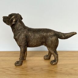 Animal Crackers Labrador Dog figurine, Leonardo Reflections Bronzed, Gift Boxed in Bronze - thumbnail 6