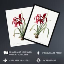 "Artery8 Aztec Lily Botanical Redoute Vintage Wall Art Print Poster in White - Size: W18"" x H24""" - thumbnail 2