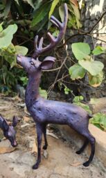 Inspirational Gifting Large Stag & Doe Deer Sculptures Garden Ornaments in Bronze - thumbnail 6