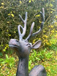 Inspirational Gifting Large Stag & Doe Deer Sculptures Garden Ornaments in Bronze - thumbnail 4