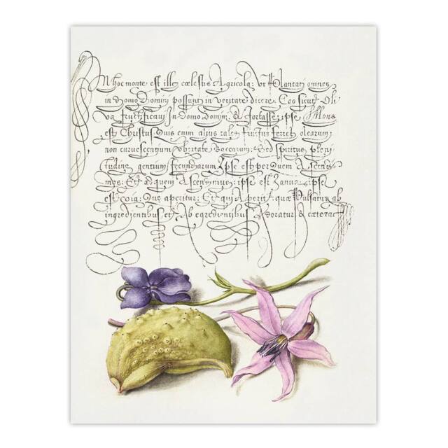 "Artery8 Violet Blooms & Gourd Calligraphy Wall Art Poster Print in White - Size: W12"" x H16""" - image 1