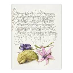 "Artery8 Violet Blooms & Gourd Calligraphy Wall Art Poster Print in White - Size: W12"" x H16""" - thumbnail 1
