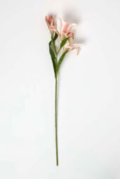 Homescapes Artificial Stem of Lilium Auratum Flowers, 80 cm in Pink - thumbnail 3
