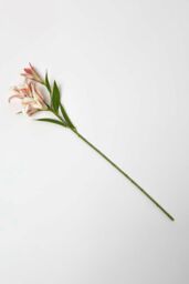 Homescapes Artificial Stem of Lilium Auratum Flowers, 80 cm in Pink - thumbnail 1