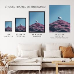 "Wee Blue Coo Wall Art Print High On The Heather Sheep Scotland Blue Living Room - Size: W24"" x H32""" - thumbnail 3