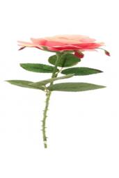 KDMD Rose Fuchsia 3 Pack Silk Artificial Flowers - thumbnail 2