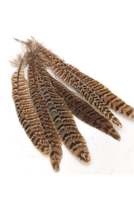 Neel Blue 10pcs Natural Pheasant Feathers, 25cm-30cm Soft Native Plume in Light Brown - image 1