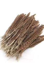 Neel Blue 10pcs Natural Pheasant Feathers, 25cm-30cm Soft Native Plume in Light Brown - thumbnail 3