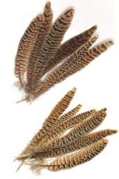 Neel Blue 10pcs Natural Pheasant Feathers, 25cm-30cm Soft Native Plume in Light Brown - thumbnail 6