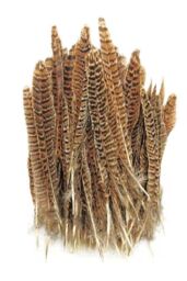 Neel Blue 10pcs Natural Pheasant Feathers, 25cm-30cm Soft Native Plume in Light Brown - thumbnail 4
