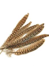 Neel Blue 10pcs Natural Pheasant Feathers, 25cm-30cm Soft Native Plume in Light Brown - thumbnail 2