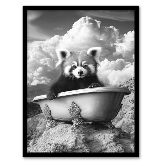 "Artery8 Red Panda in Bathtub on Hill Black White Surreal Framed Art Print in Grey - Size: W12"" x H16""" - image 1