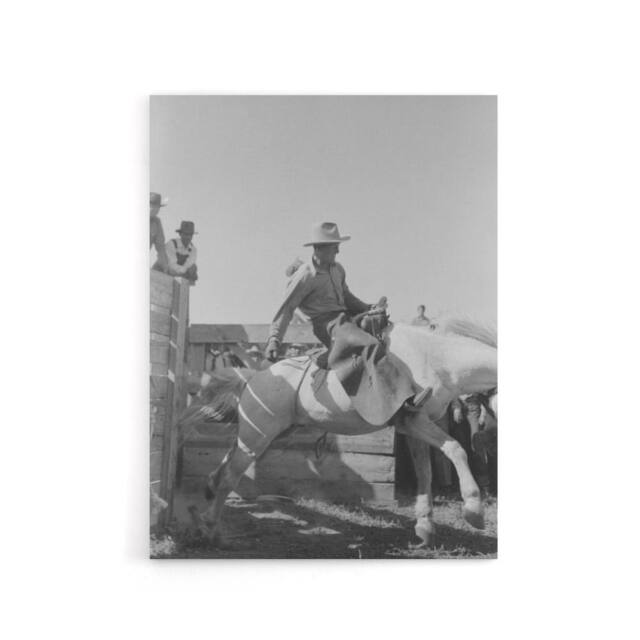"Artery8 Russell Lee Cowboy at Bean Day Rodeo Action Shot Canvas Wall Art Print in Grey - Size: W12"" x H16""" - image 1