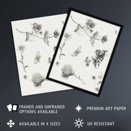 "Artery8 Flowers Leaves Butterfly Drawing Vintage Wall Art Print Hoytema in White - Size: W12"" x H16""" - thumbnail 2